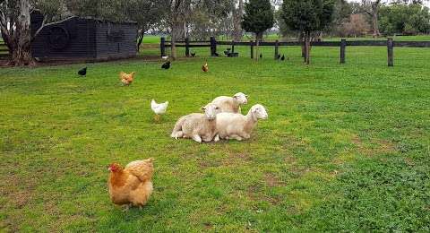 Photo: Ethereal Pastures Free Range Egg Farm
